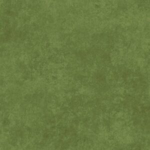 Shadowplay Turtle Green