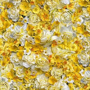 Gule blomster tett i tett, digitalprint
