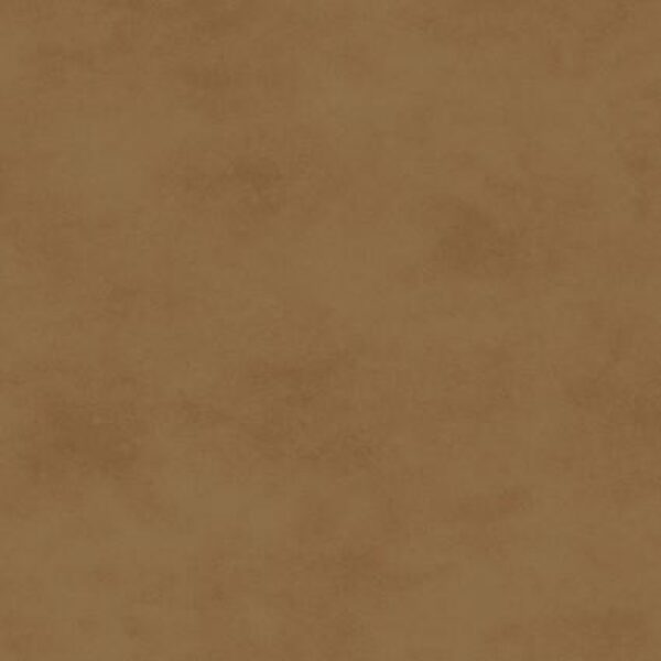 Shadowplay Sepia