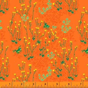Smørblomst på orange