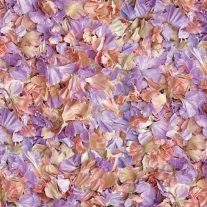 Petal Toss Peach