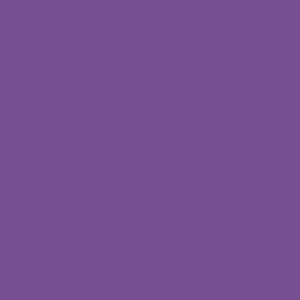 AG PE Purple Pansy