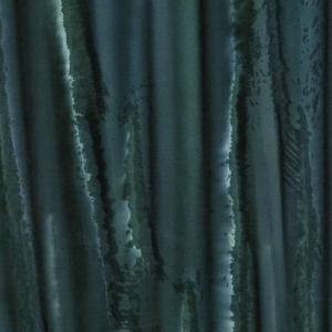Tonals Pine Forest