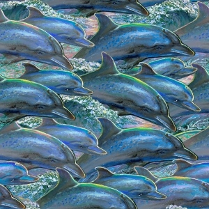 Delfiner