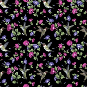 Hummingbird Song Sort