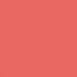 Tilda Solid Salmon
