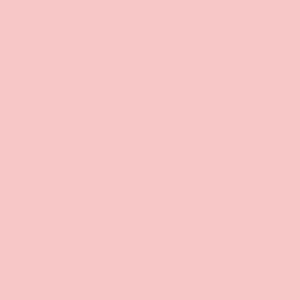 Jersey AG SK Crystal Pink