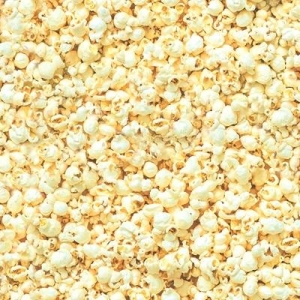 Popcorn  Amazement park
