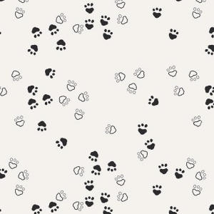 AG CAP-N Curious Paws