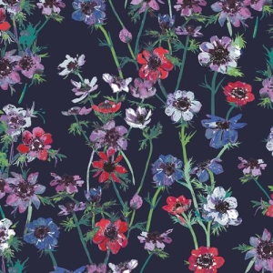 AG AQU Anemone Study Midnight