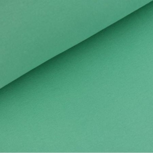 Rundstrikket ribb Mint