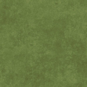Shadowplay Turtle Green