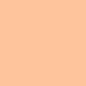 Jersey AG Orange Creamsicle, ensfarget