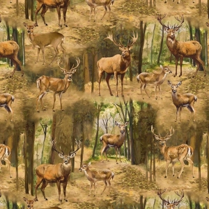 Wild Kingdom Hjort-Rådyr