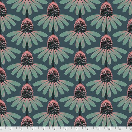 Echinacea Dim, Love Always, 1 mtr