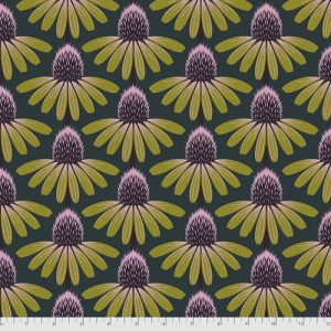 Echinacea Seaweed, Love Always, bit 65 cm