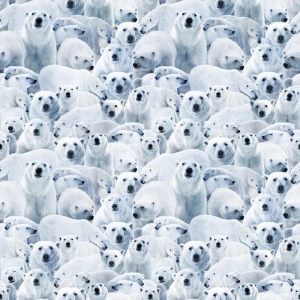 Wild Kingdom Isbjørn